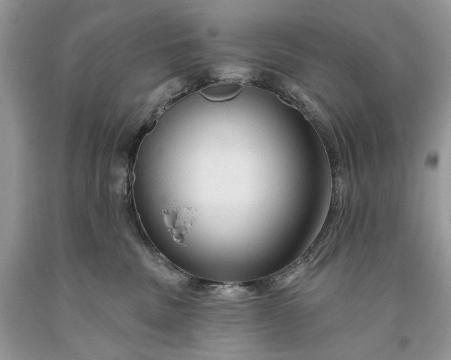 X0000093470379200710261048