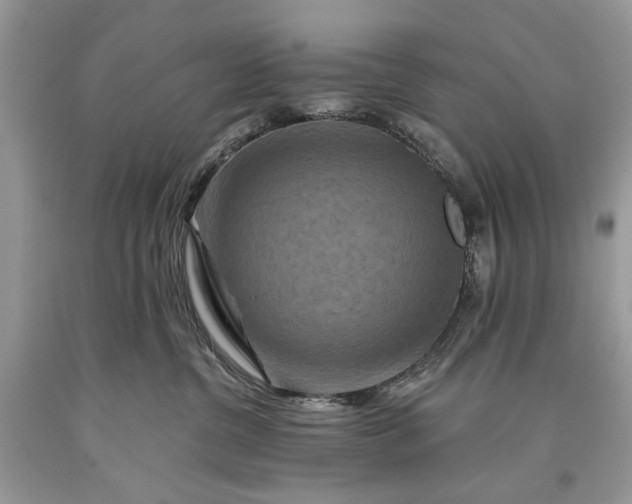 X0000093470380200710261048