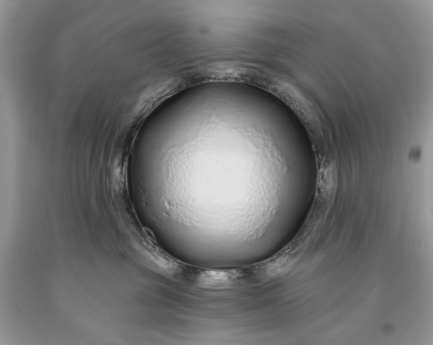 X0000093470381200710261048