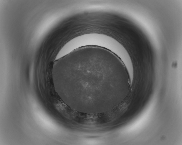 X0000093470382200710261048