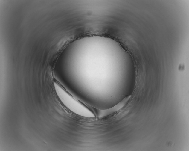 X0000093470384200710261048