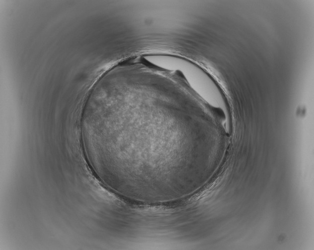 X0000093470385200710261048