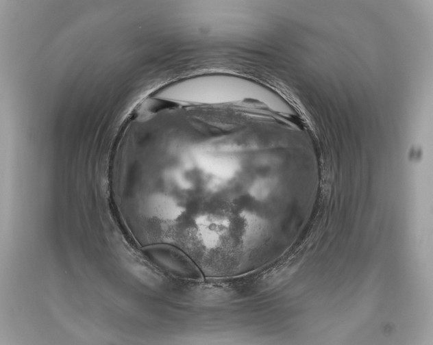 X0000093470386200710261048