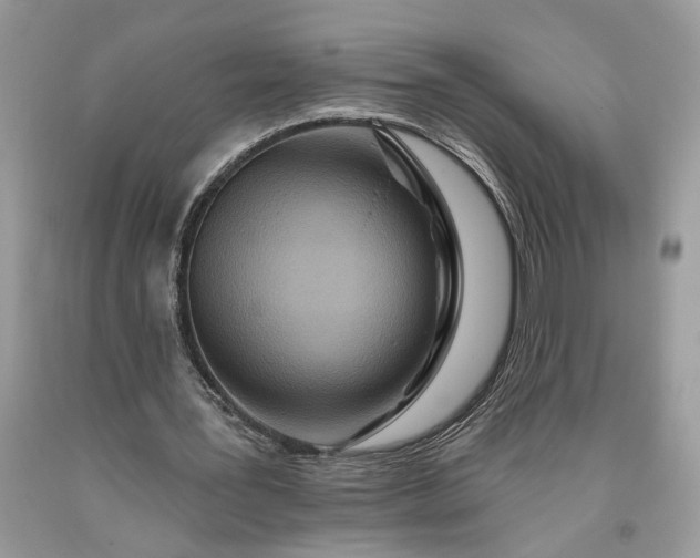 X0000093470387200710261048