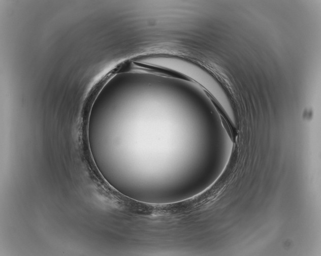 X0000093470388200710261048