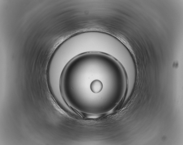 X0000093470389200710261048