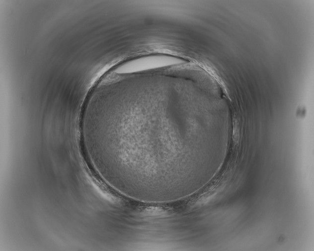 X0000093470390200710261048