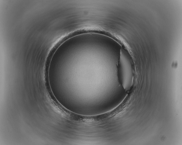 X0000093470391200710261048