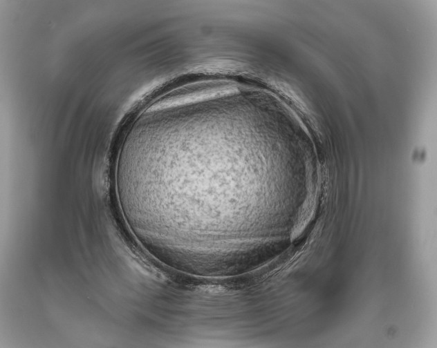 X0000093470392200710261048