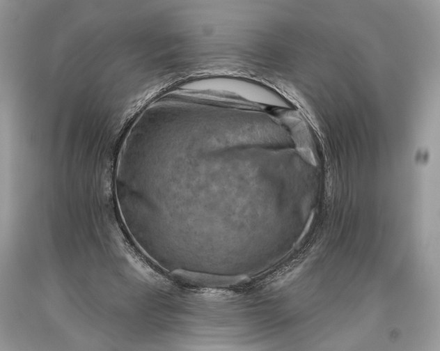 X0000093470393200710261047