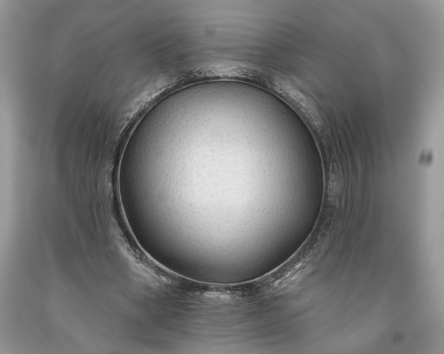 X0000093470394200710261047