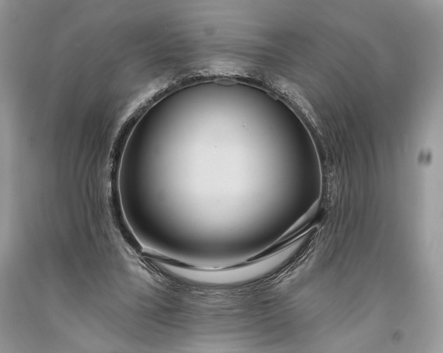 X0000093470395200710261047