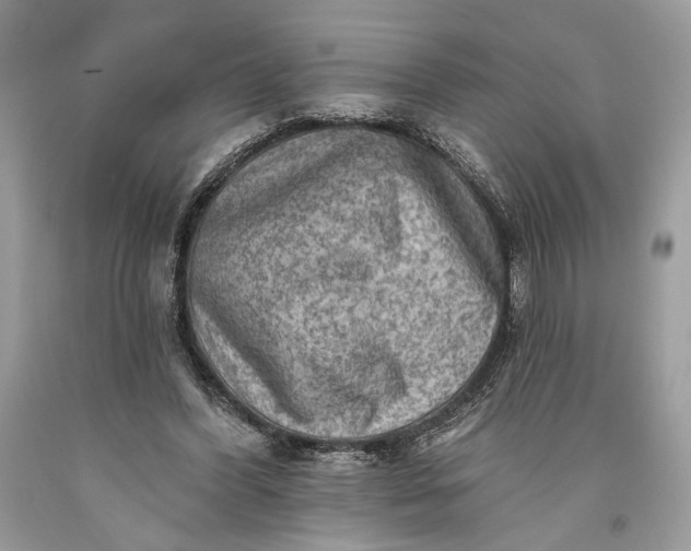 X0000093470396200710261047