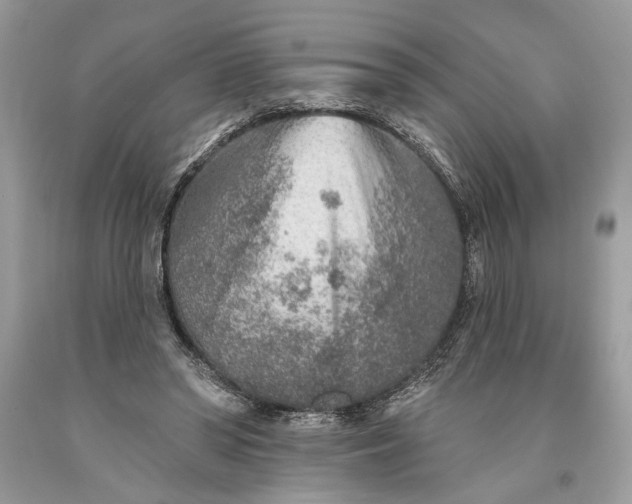 X0000093470398200710261047