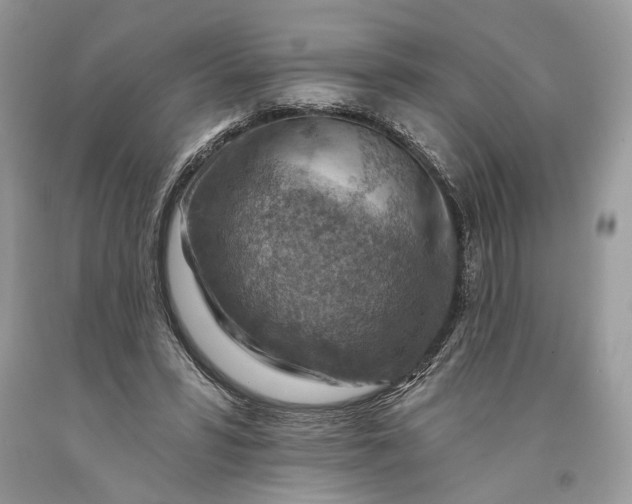 X0000093470399200710261047