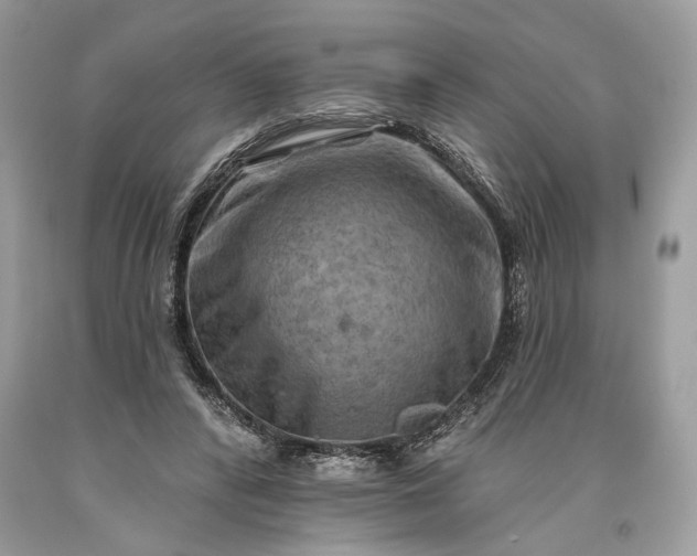 X0000093470400200710261047