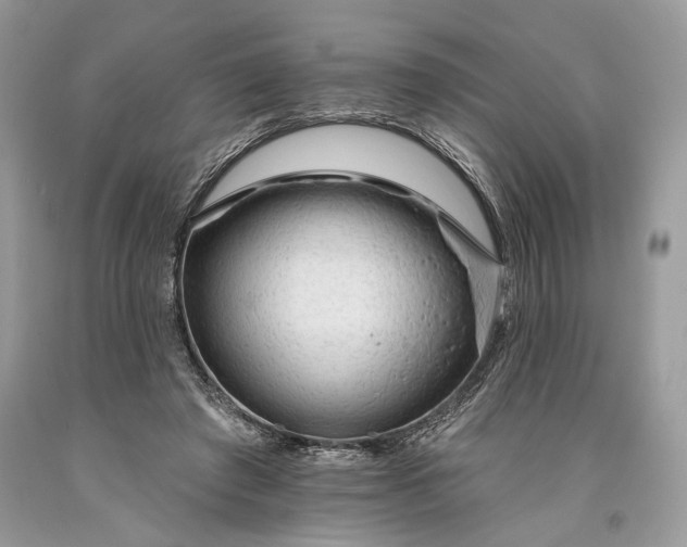 X0000093470401200710261047