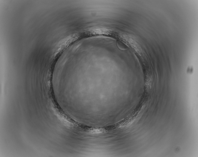 X0000093470402200710261047