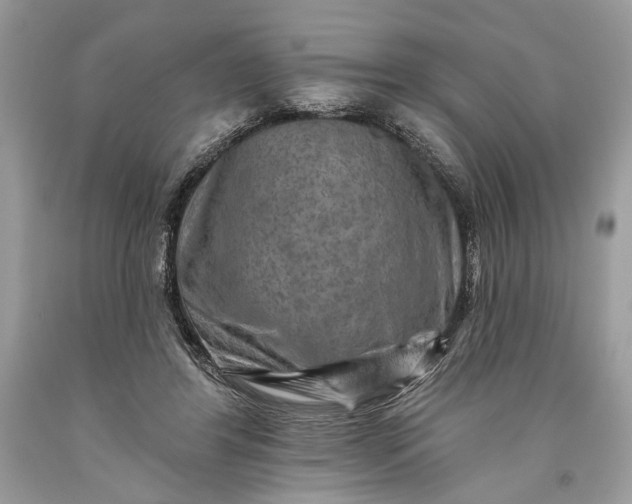 X0000093470404200710261047