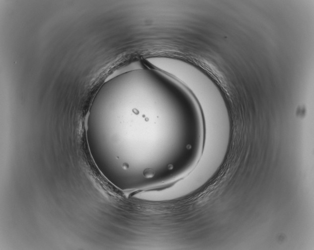 X0000093470405200710261047