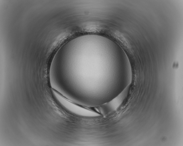 X0000093470407200710261047