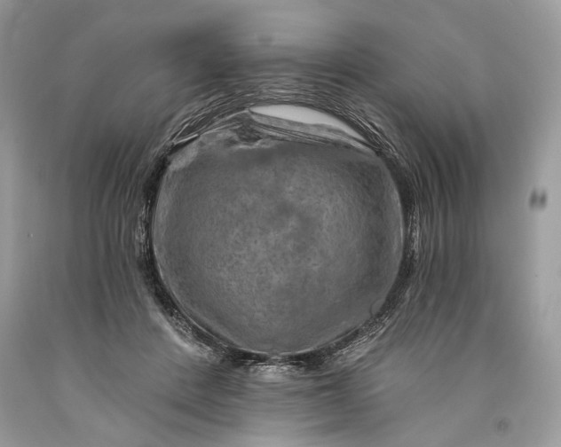 X0000093470408200710261047