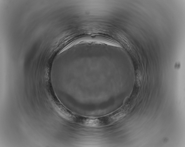 X0000093470410200710261047