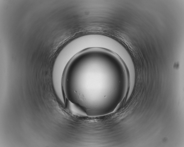 X0000093470411200710261047