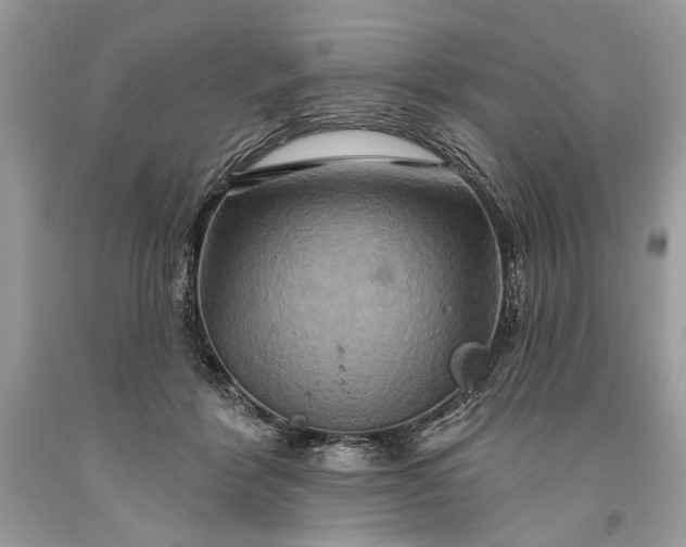 X0000093470412200710261047