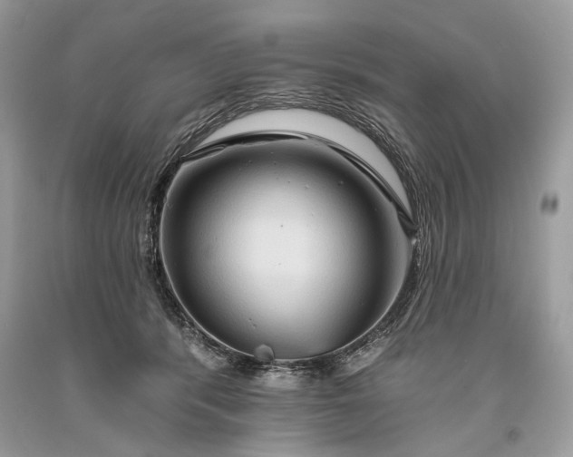 X0000093470416200710261047