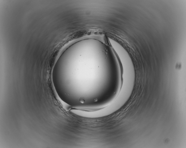 X0000093470417200710261047