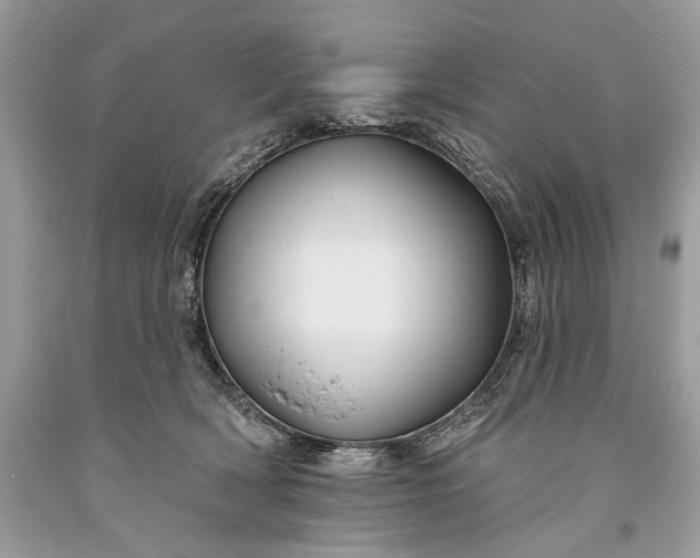 X0000093470418200710261047