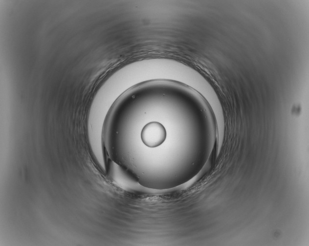 X0000093470423200710261047