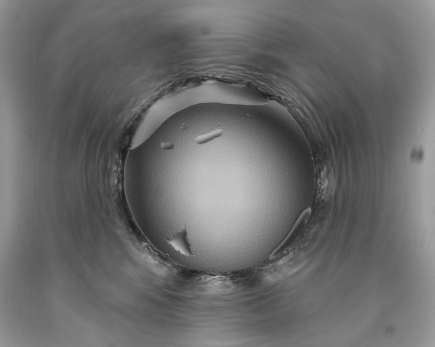 X0000093470424200710261047