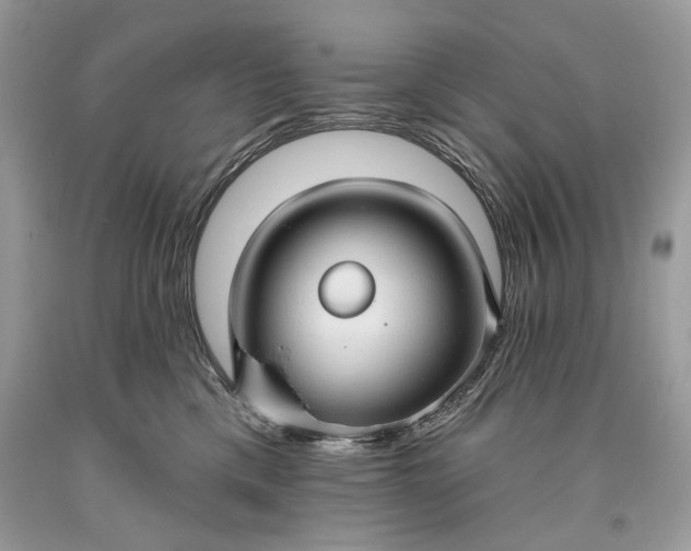 X0000093470425200710261047