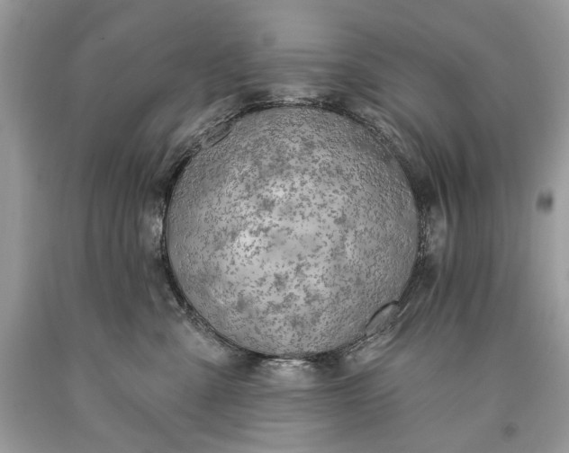 X0000093470427200710261047