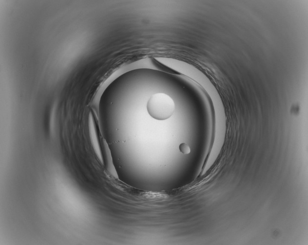 X0000093470429200710261047