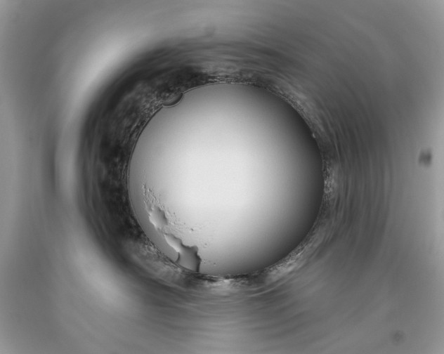 X0000093470430200710261047