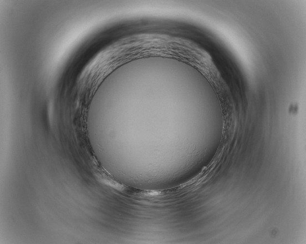 X0000093470431200710261047