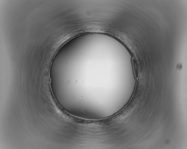 X0000093470433200710261046