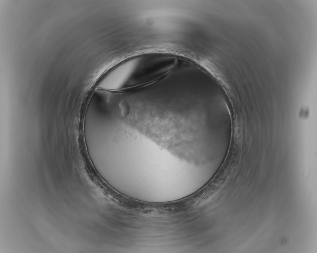 X0000093470434200710261046