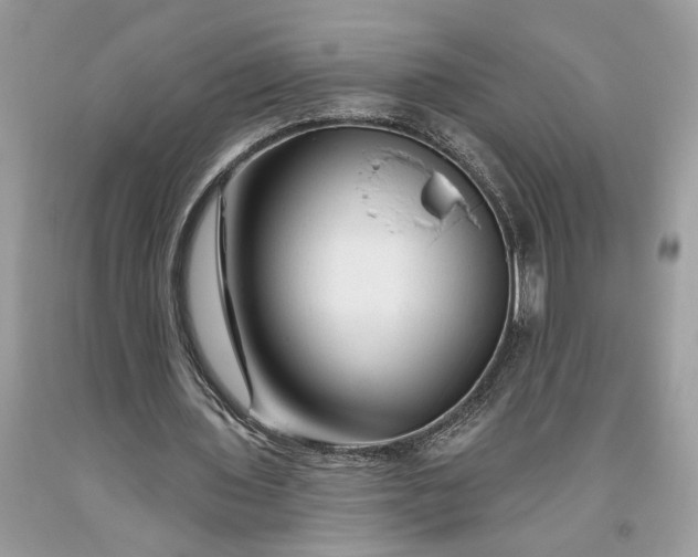 X0000093470435200710261046