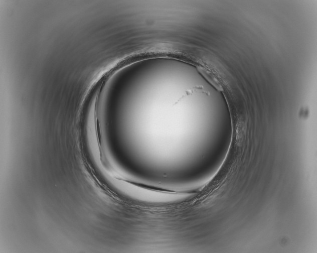 X0000093470436200710261046