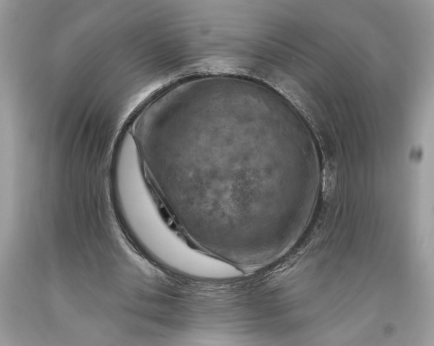 X0000093470438200710261046