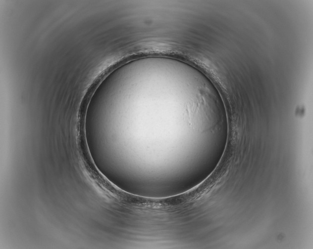 X0000093470439200710261046