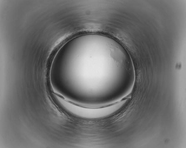 X0000093470440200710261046