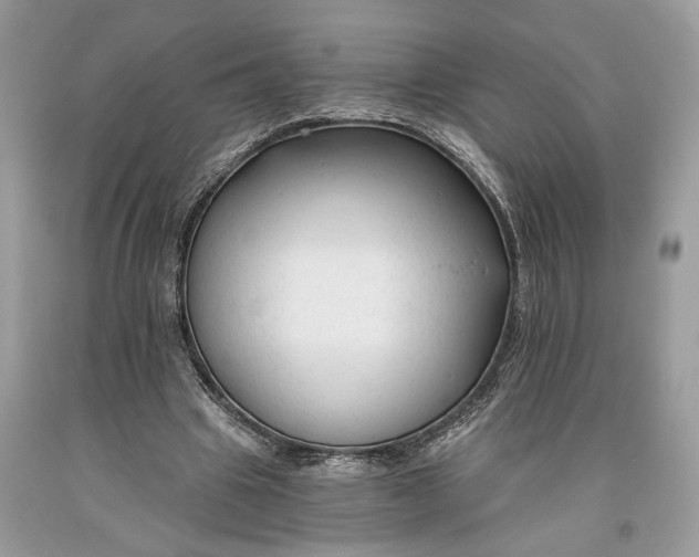 X0000093470441200710261046