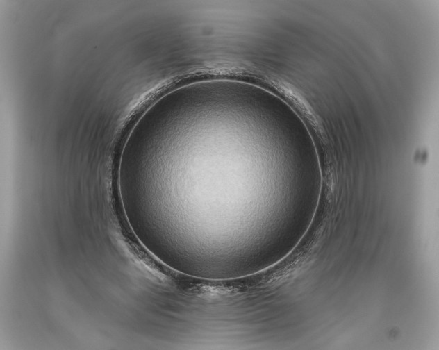 X0000093470442200710261046