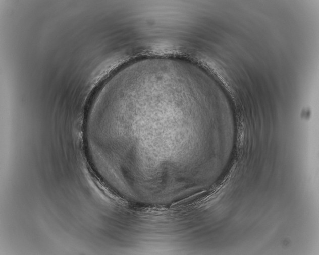 X0000093470443200710261046