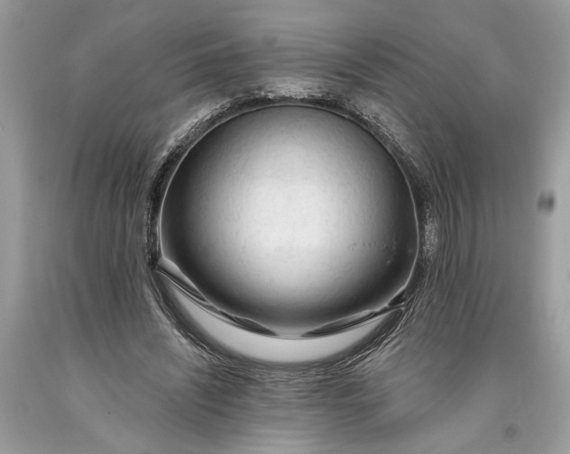 X0000093470444200710261046